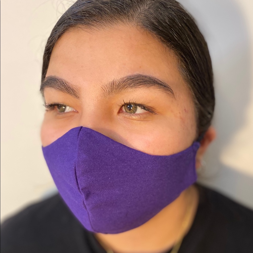 Face mask with Filter Inliner